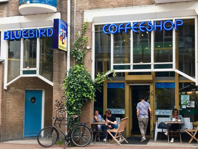 Coffeeshop Blue Bird